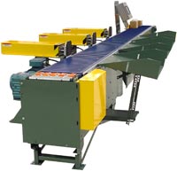 Hytrol Vipersort Sortation Conveyor